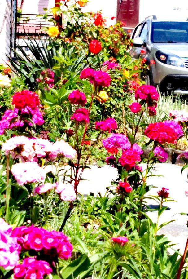 At the seaside Hotel Pizunda Esterno foto